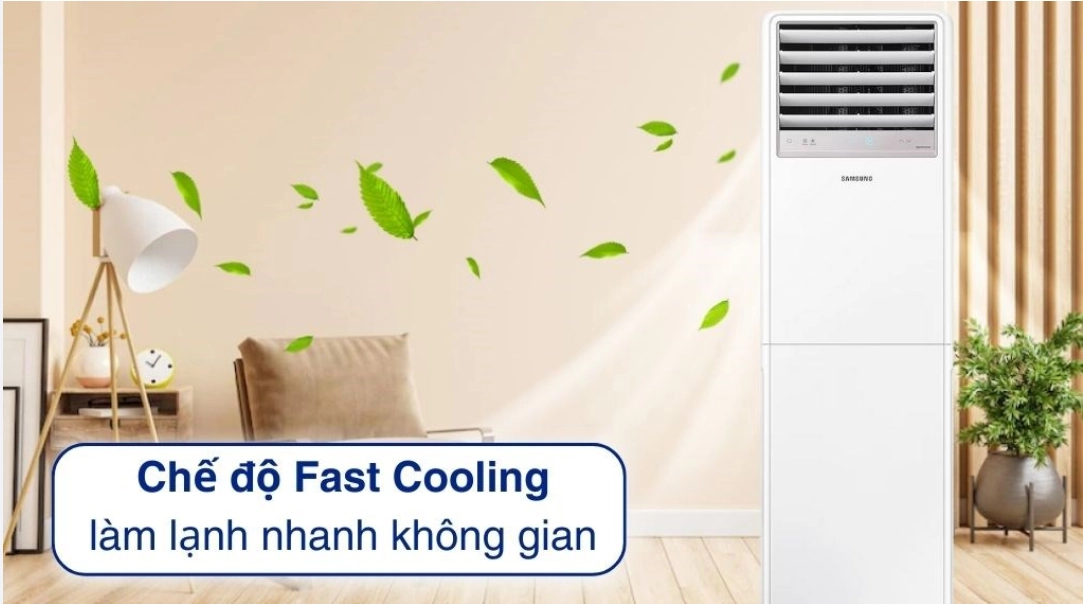Hình ảnh chỉ mang tính chất minh họa