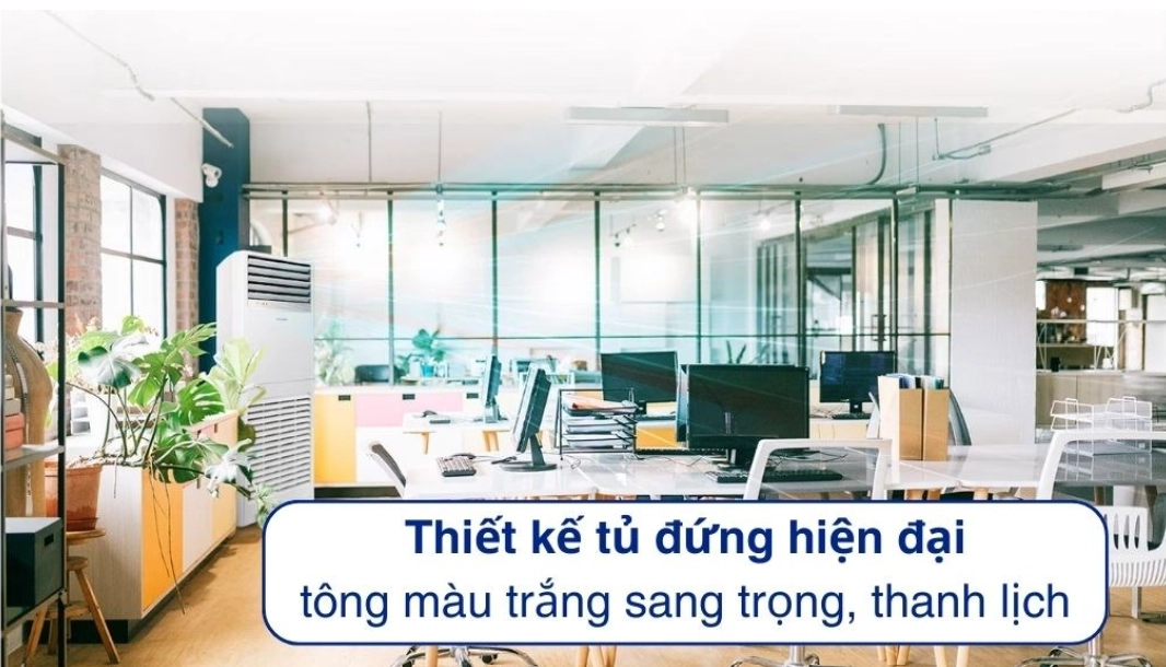 Hình ảnh chỉ mang tính chất minh họa