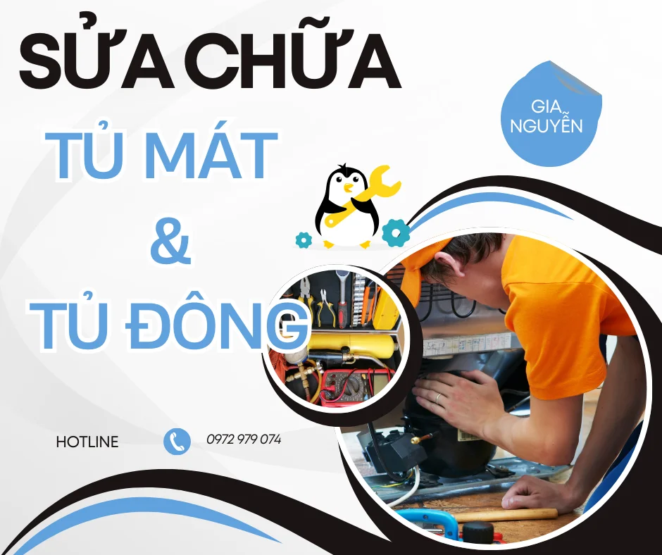 Sửa chữa tủ mát và tủ đông của công ty Gia Nguyễn