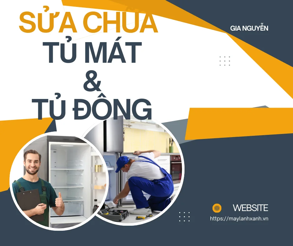 Sửa chữa tủ mát và tủ đông của công ty Gia Nguyễn