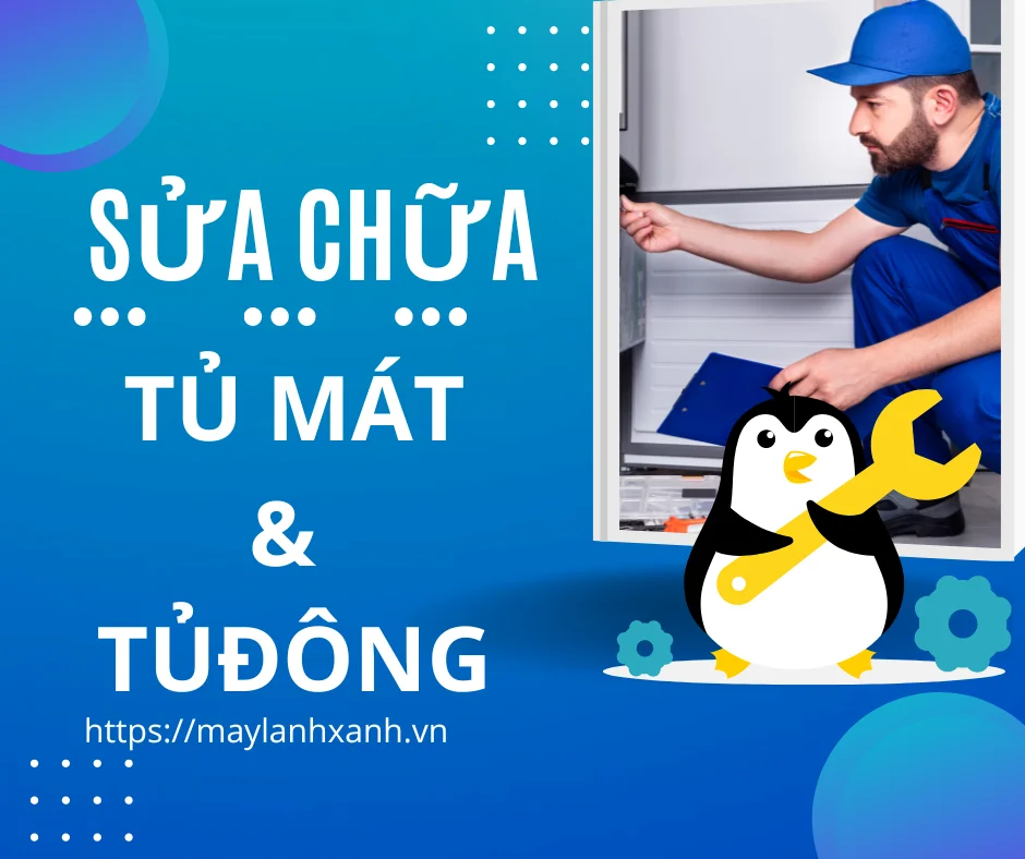 Sửa chữa tủ mát và tủ đông của công ty Gia Nguyễn