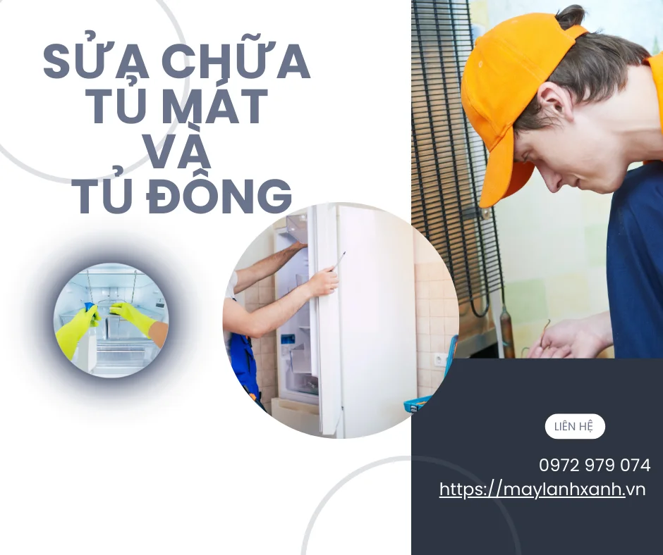 Sửa chữa tủ mát và tủ đông của công ty Gia Nguyễn