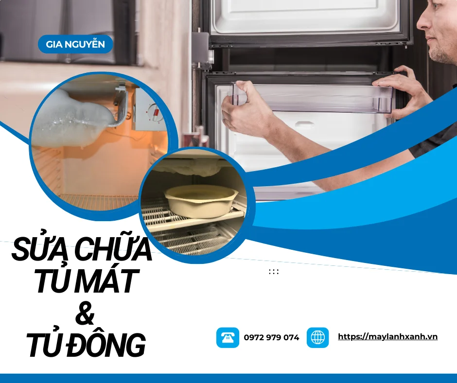 Sửa chữa tủ mát và tủ đông của công ty Gia Nguyễn