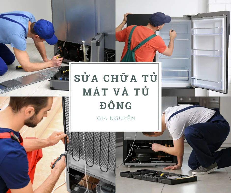 Sửa chữa tủ mát và tủ đông của công ty Gia Nguyễn