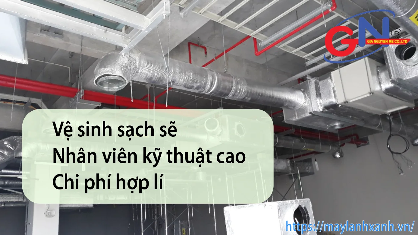 Ảnh minh họa từ Gia Nguyễn