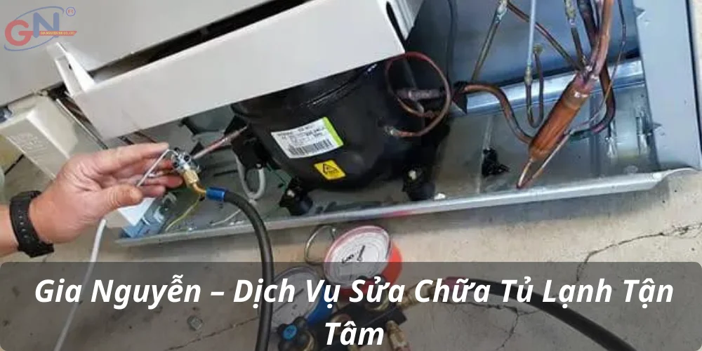 Gia Nguyễn – Dịch Vụ Sửa Chữa Tủ Lạnh Tận Tâm